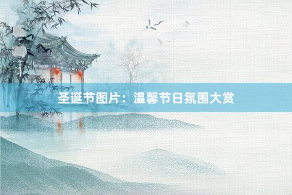 圣诞节图片:温馨节日氛围大赏