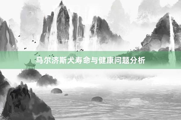 马尔济斯犬寿命与健康问题分析